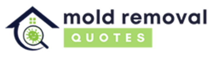 mold removal conroe